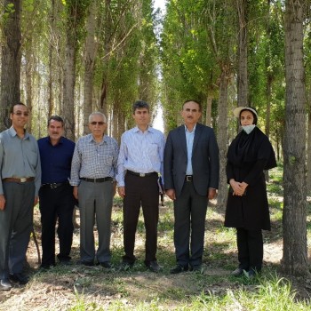 بخش تحقیقات صنوبر و درختان سریع الرشد